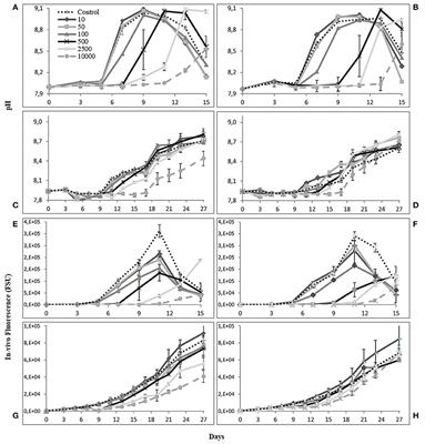 Effect of Siderophore on Iron Availability in a Diatom and a Dinoflagellate Species: Contrasting Response in Associated Bacteria